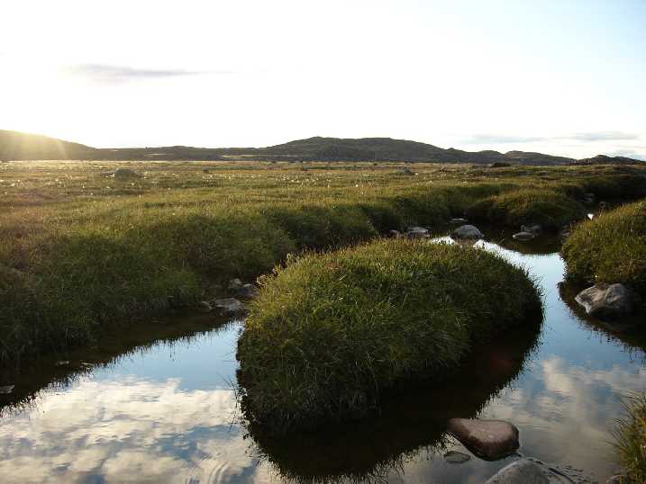the flats beside the sylvia grinnell river